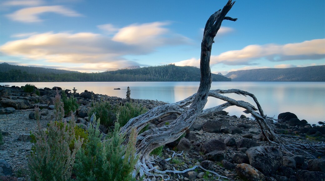 Midlands showing a lake or waterhole