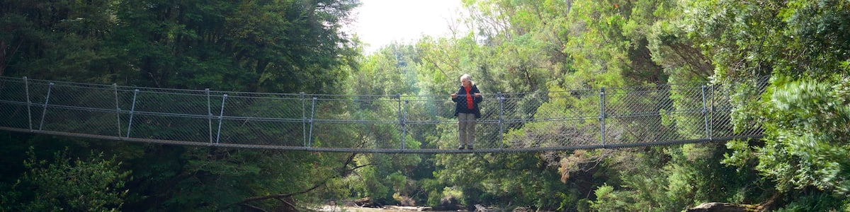 Midlands featuring a river or creek and a suspension bridge or treetop walkway as well as an individual femail