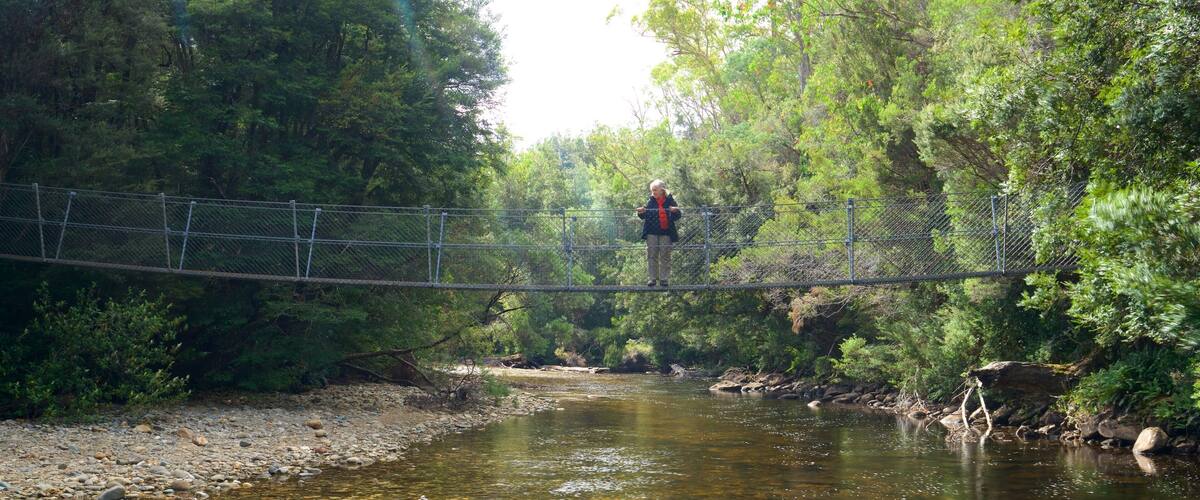 Midlands featuring a river or creek and a suspension bridge or treetop walkway as well as an individual femail