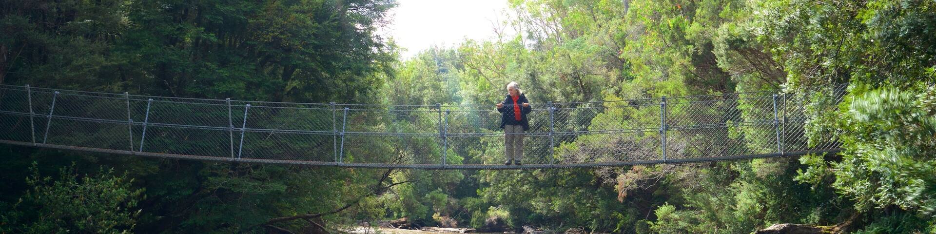 Midlands featuring a river or creek and a suspension bridge or treetop walkway as well as an individual femail