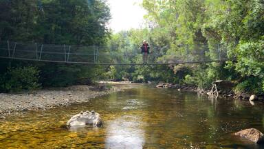 A river with clear water, surrounded by trees and a bridge.