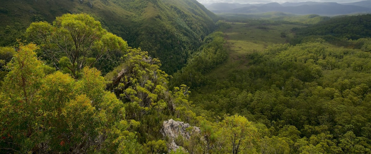 Midlands showing tranquil scenes and landscape views