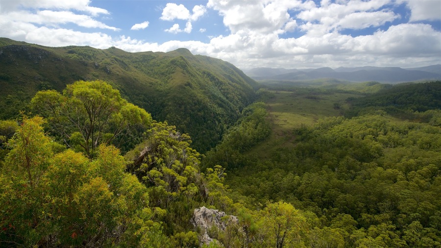 Midlands showing tranquil scenes and landscape views
