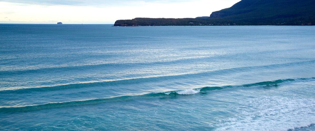 Australia showing surf and general coastal views