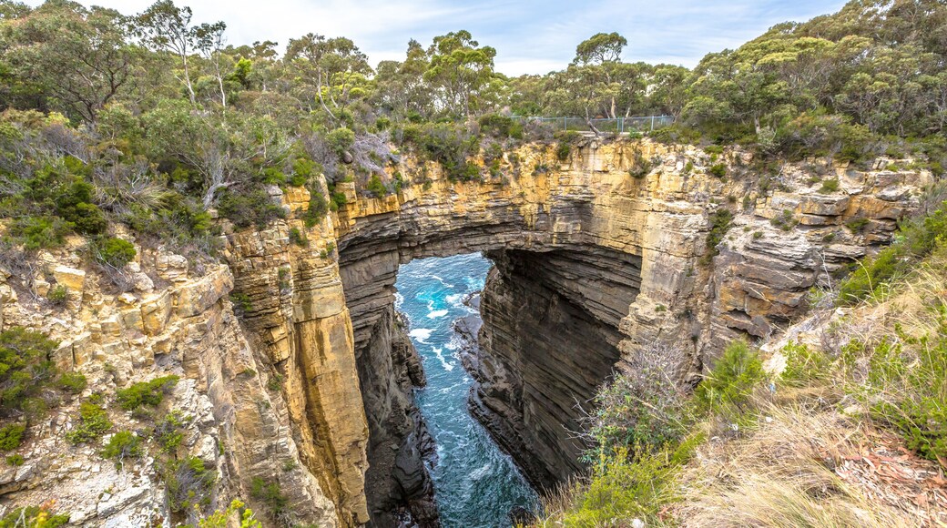 Tasman Arch is an unusual geological formation found in the Tasman National Park, Tasman Peninsula in the south east coast of Tasmania, Australia.