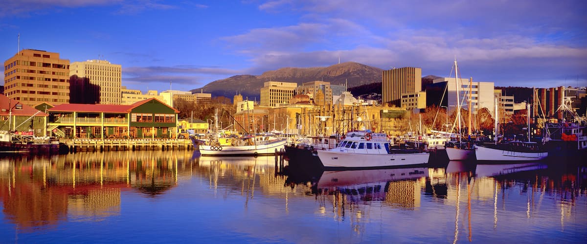 A marina with boats docked, a city skyline, and mountains in the background.