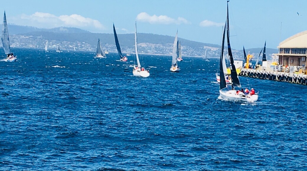 Hobart is a vibrant little city with a lot to offer from city walks, kayaking, hikes up Mt Wellington, Salamanca Markets and great food!