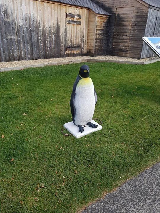 Lots of Arctic explorer themed tourist attractions in Hobart Tasmania, though an interesting fact is that you're still closer to the equator than the Arctic in Tasmania.

#LifeAtExpedia 