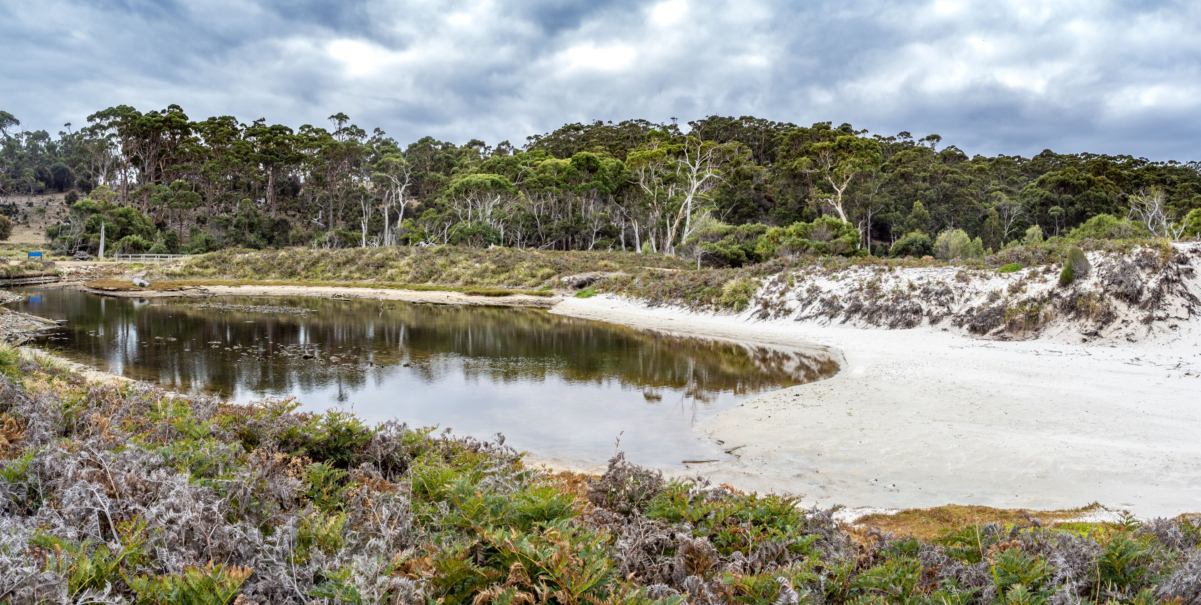 Un lago sereno rodeado de densos eucaliptos y dunas arenosas.