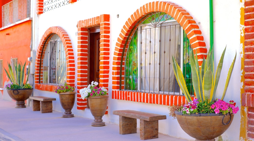 Nord-Sonora som inkluderer gatescener, liten by eller landsby og hus