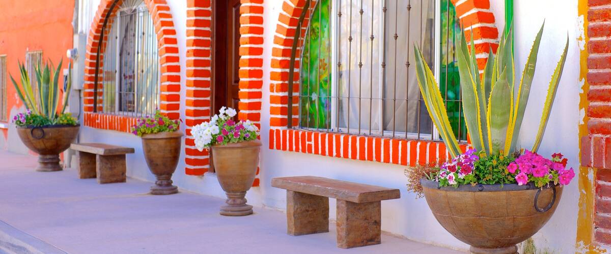 Sonora septentrional ofreciendo escenas cotidianas, una casa y un pueblo