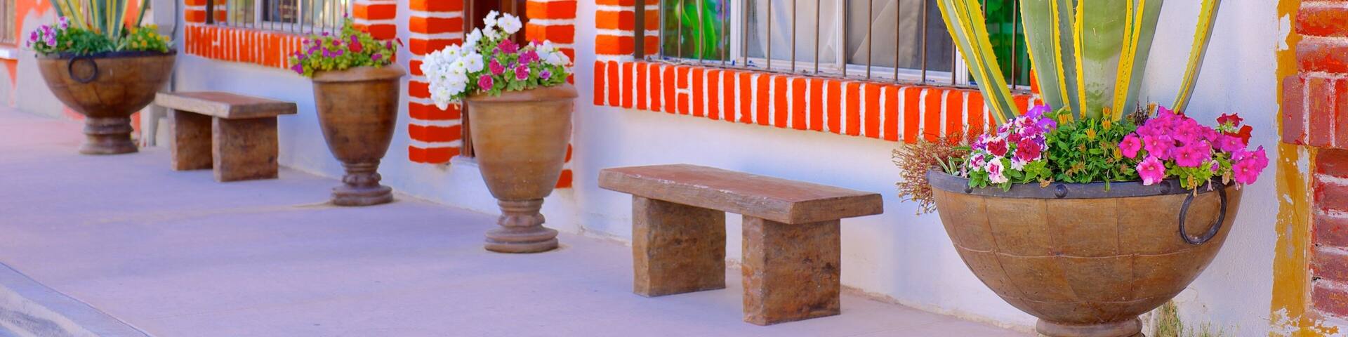 Northern Sonora which includes street scenes, a house and a small town or village