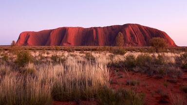 Uluru at sunset with surrounding sparse vegetation.
