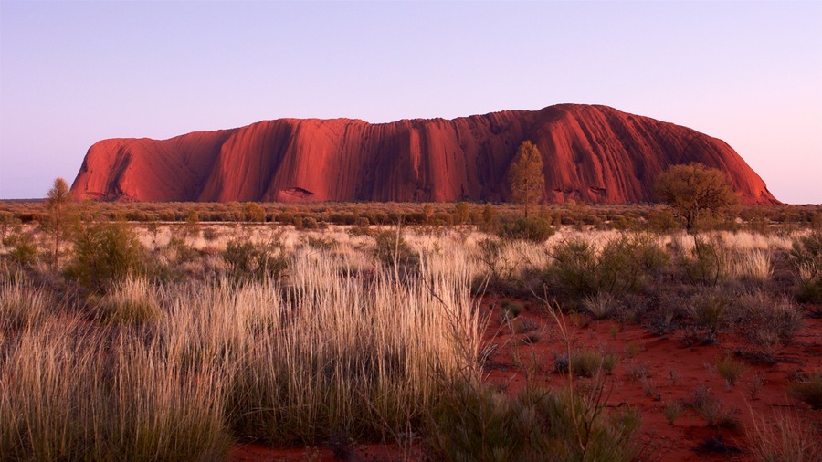 Uluru at sunset with surrounding sparse vegetation.