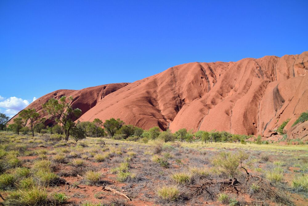 The landscape is pretty bare in the Australian outback.  However, what there is to see has great beauty!