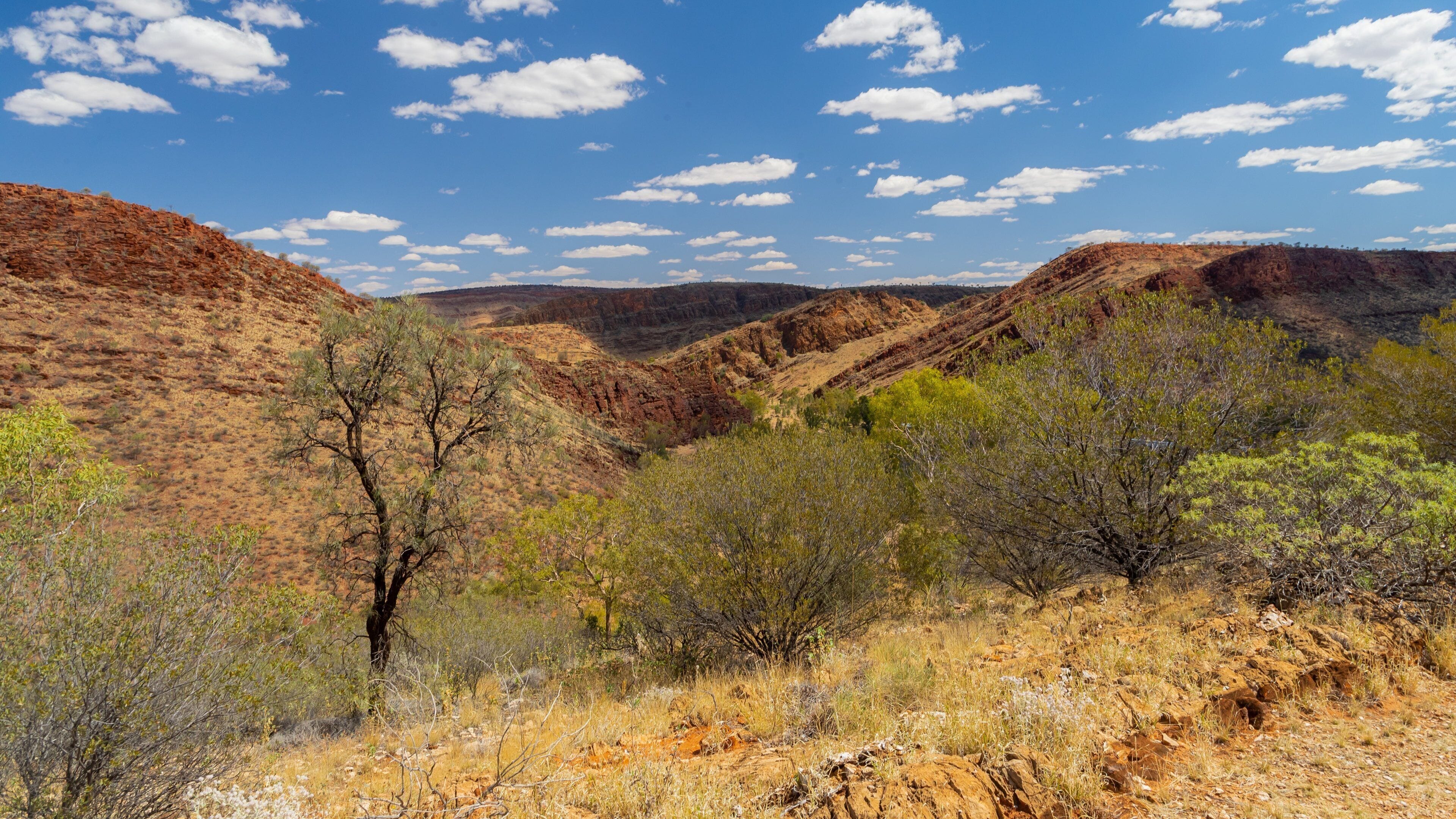 Alice Springs which includes desert views and a gorge or canyon