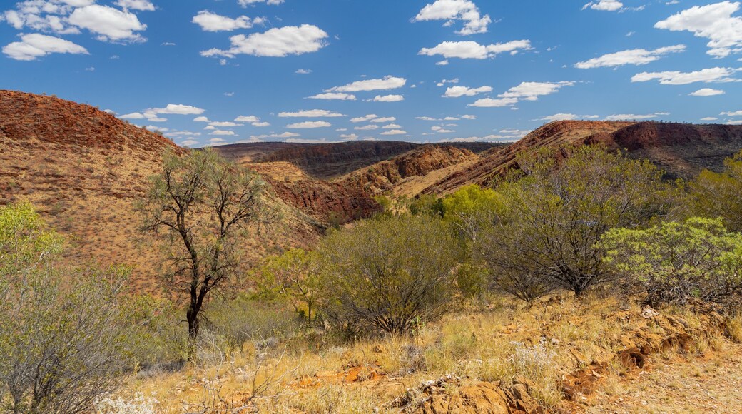 Alice Springs which includes desert views and a gorge or canyon