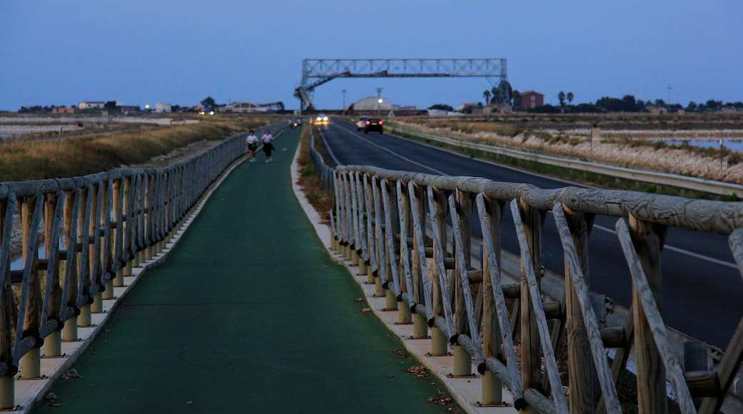 scene from a little town of south Italy, Trinitapoli