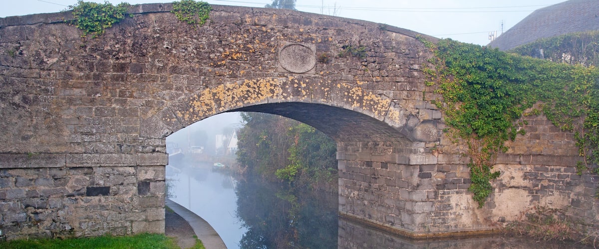 A stone bridge with an arch over a river, surrounded by greenery and a grassy area.
