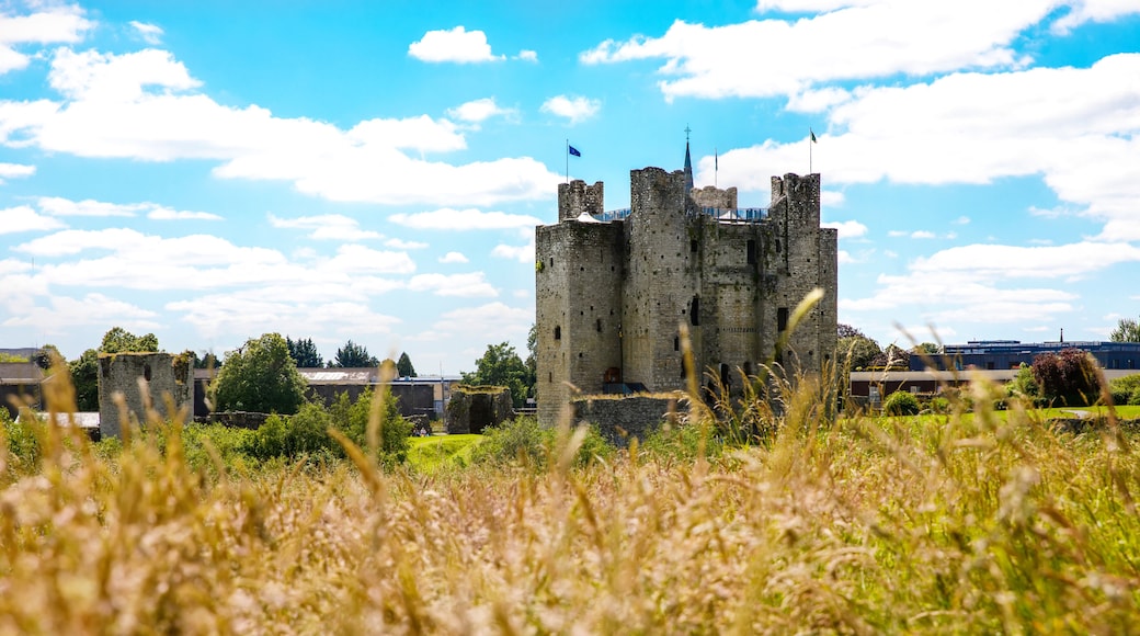 A panoramic view of Trim castle in County Meath on the River Boyne, Ireland. It is the largest Anglo-Norman Castle in Ireland
