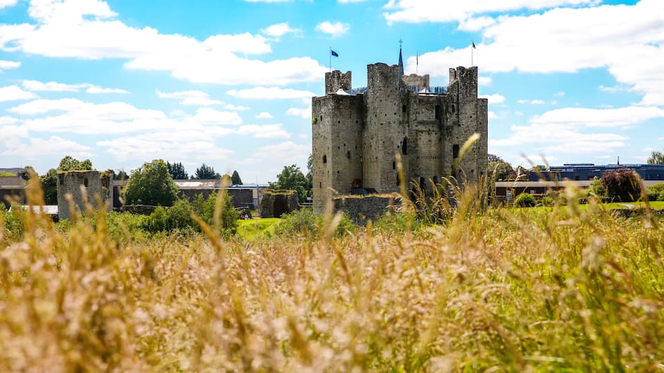 A historic castle with multiple towers, surrounded by a grassy field and a clear blue sky.