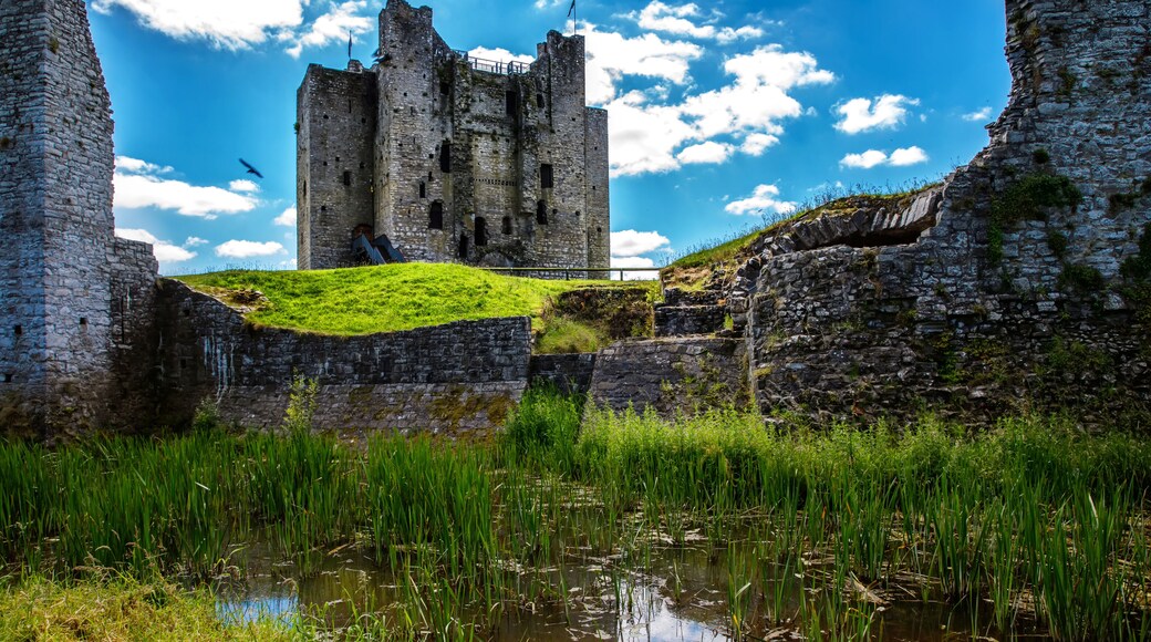 A panoramic view of Trim castle in County Meath on the River Boyne, Ireland. It is the largest Anglo-Norman Castle in Ireland