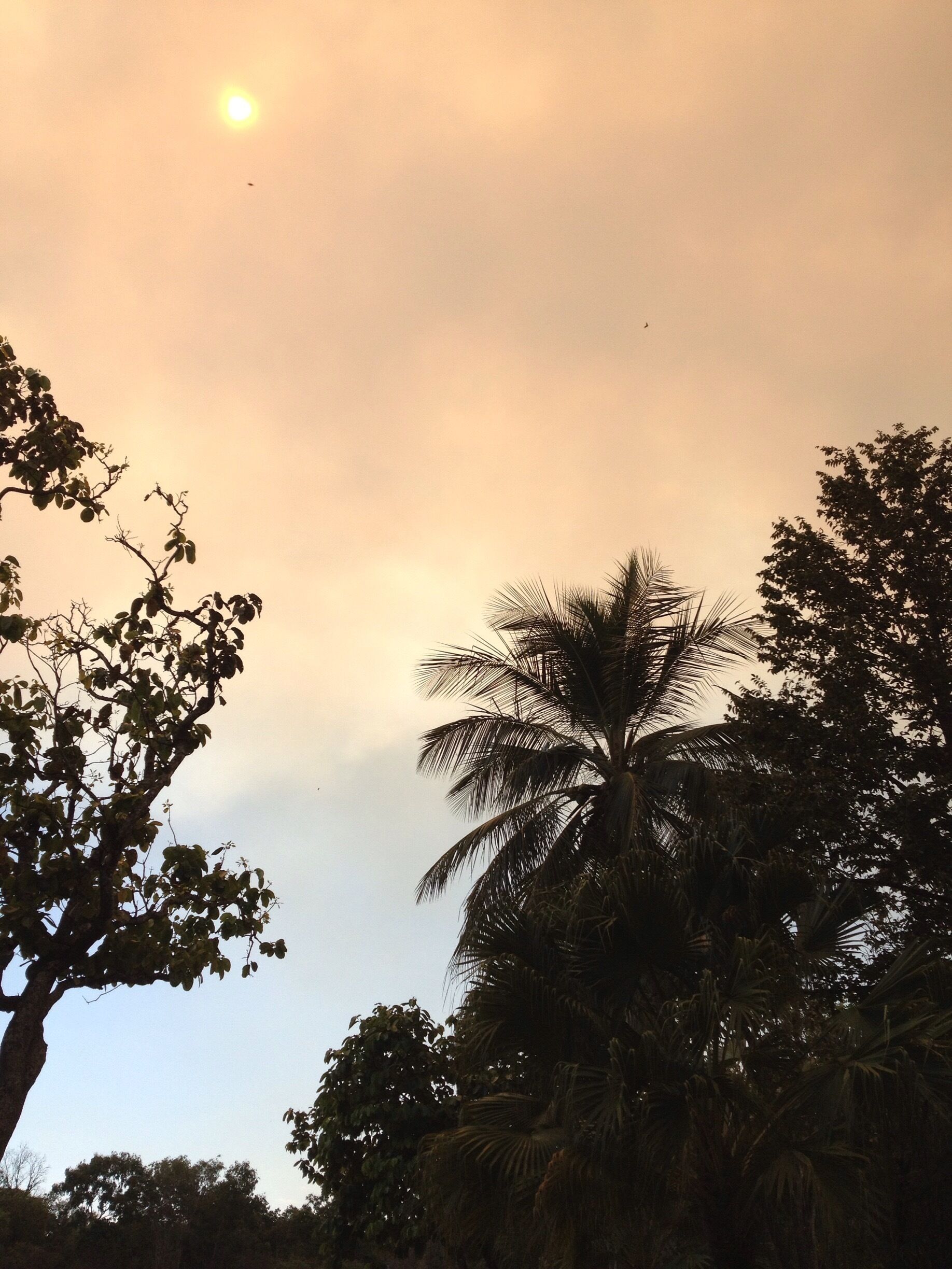 Smoke from an intentional bush fire covering the sun in Kakadu National Park