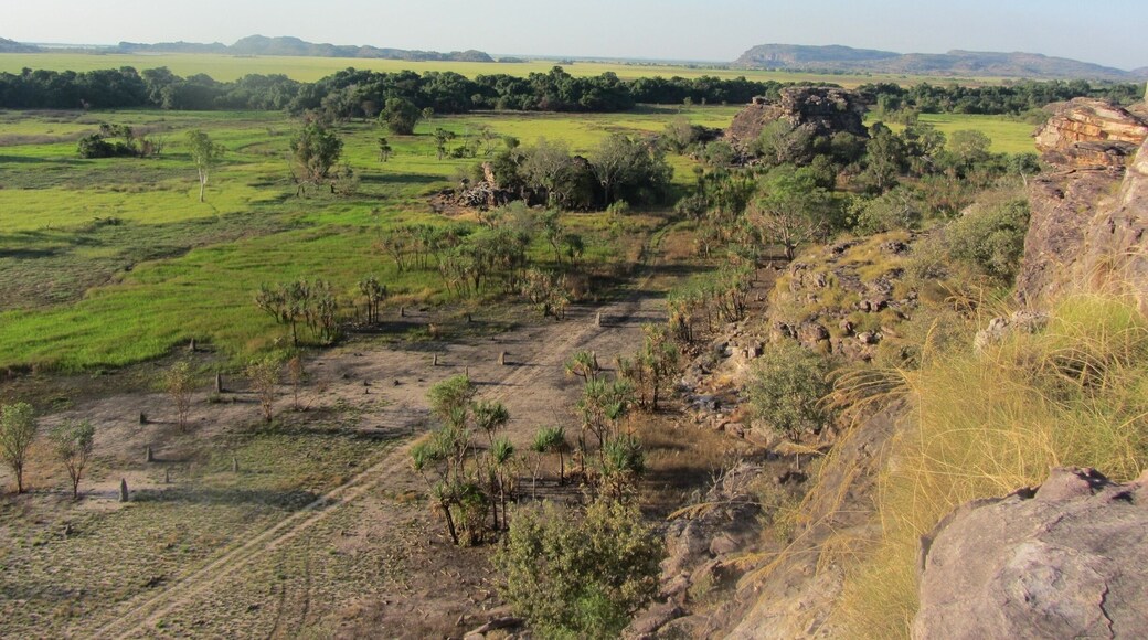watching the sun set from the top of Ubirr Rock was absolutely stunning!
