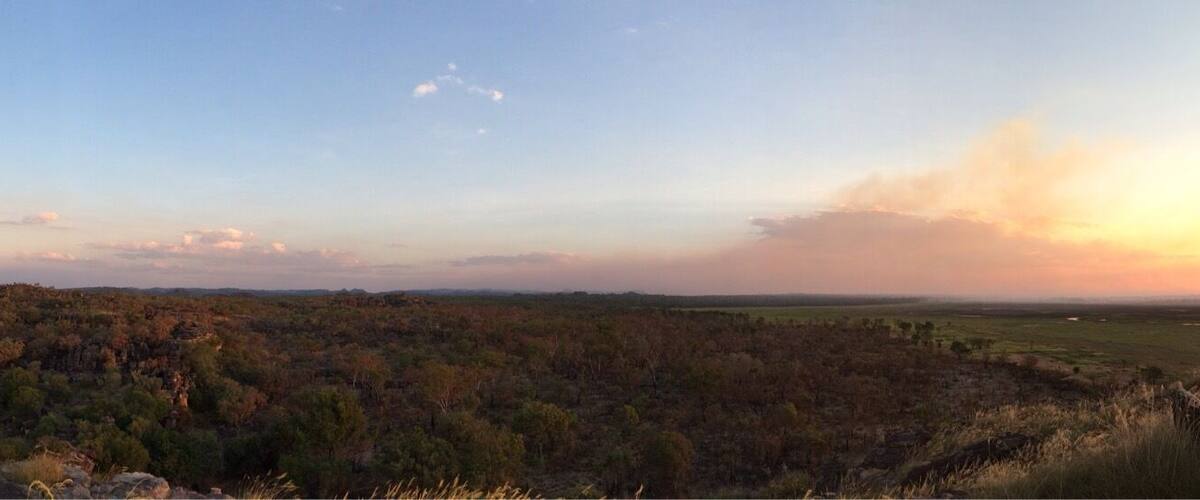 A vast landscape with a mix of dense forest and open fields, under a clear sky with a few clouds.