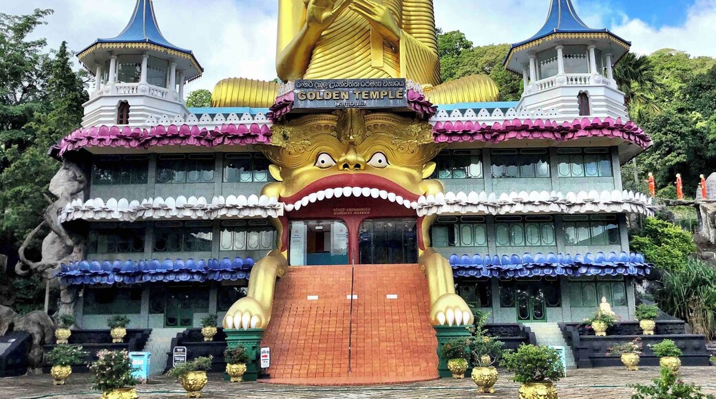 Visited the beautiful Dambulla Cave Temple in Sri Lanka during our honeymoon. The hike up to the temple was beautiful and gave us a glimpse of the landscape surrounding us
#srilanka #honeymoon #dambulla
