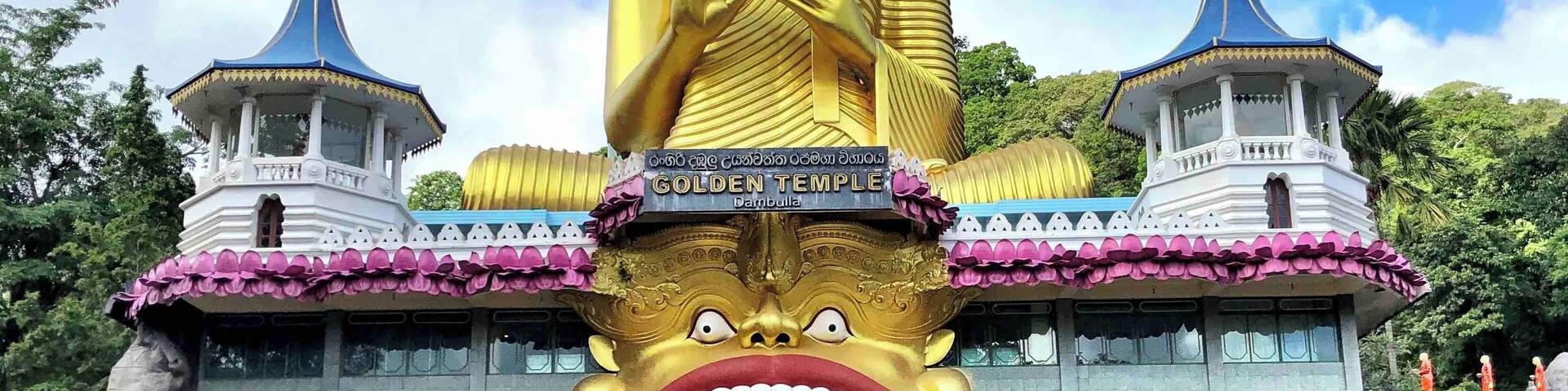 Visited the beautiful Dambulla Cave Temple in Sri Lanka during our honeymoon. The hike up to the temple was beautiful and gave us a glimpse of the landscape surrounding us
#srilanka #honeymoon #dambulla