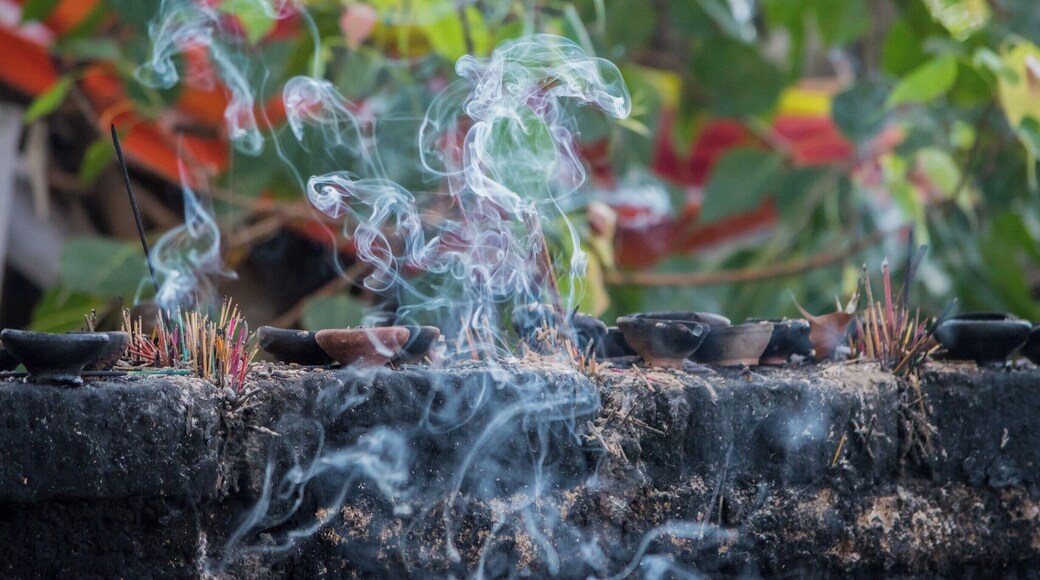 One of the must see places in the island. The cave temple of Dambulla dates back to third century BC. It is a short hike upto the hill and smell the culture of Buddhists. It is also home for some marvelous statues and paintings.