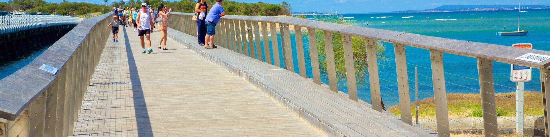 Barwon Heads which includes general coastal views and a bridge
