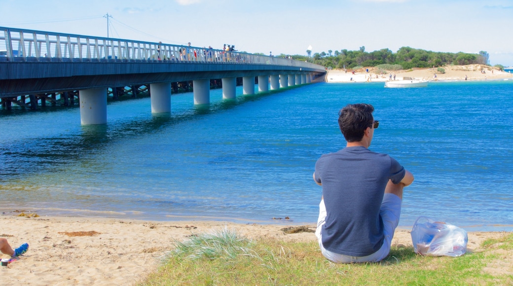 Geelong - Bellarine Peninsula mettant en vedette vues littorales et pont aussi bien que homme