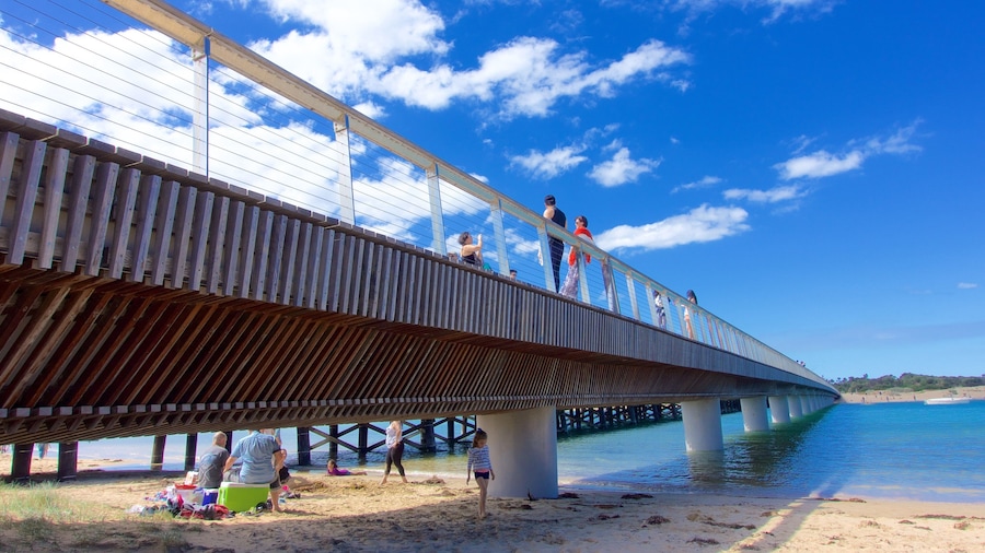 Barwon Heads which includes a sandy beach and a bridge