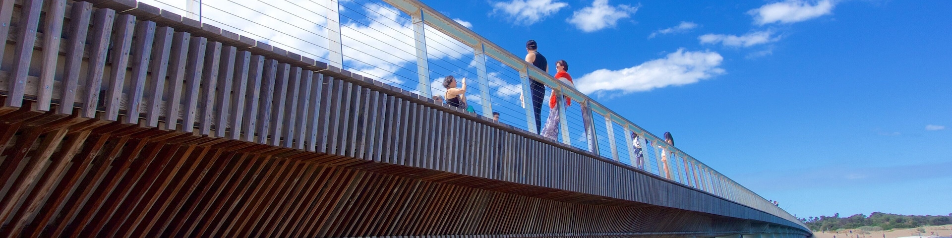 Barwon Heads mostrando uma ponte e uma praia