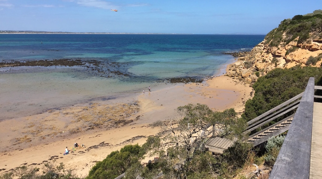 Walk down the stairs, walk in the water and around the Bluff for a great little beach in the marine park ( take your snorkels)