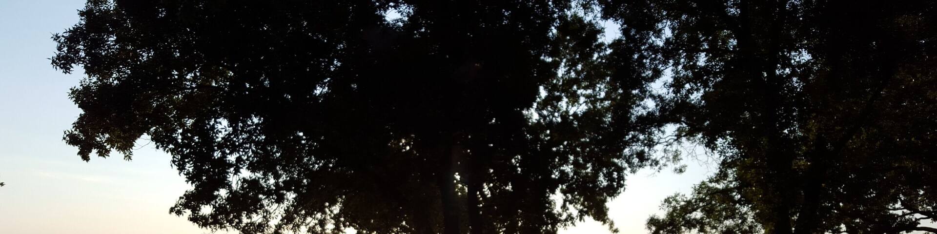 A beautiful view from a beautiful winery. Best way to see the Missouri River in all of it's glory.