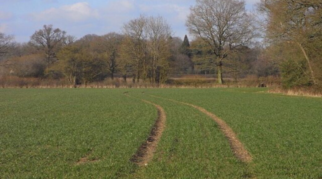Farmland, Heckfield A public footpath follows the edge of the small copse to the right of picture.