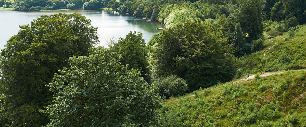 A lake surrounded by lush green hills and dense trees.