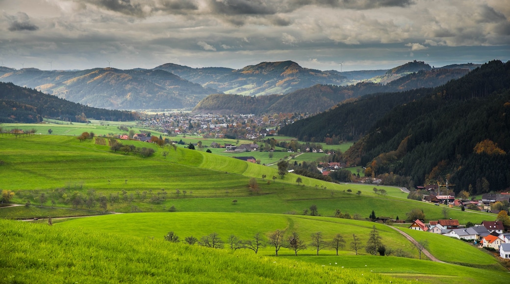 オーバーハーマーズバッハ