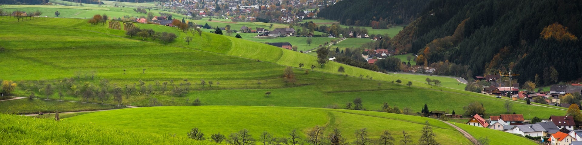 Herbstlicher Schwarzwald in den Höhen von Oberharmersbach