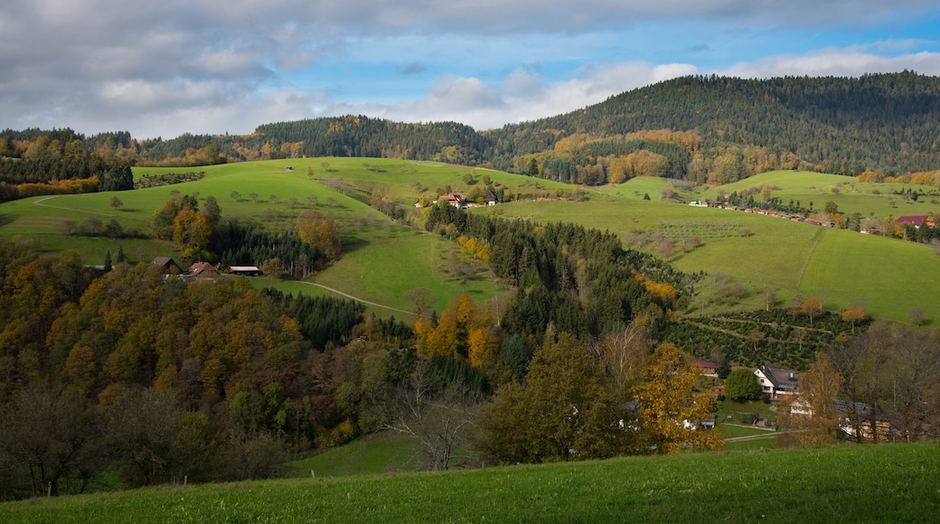 オーバーハーマーズバッハ