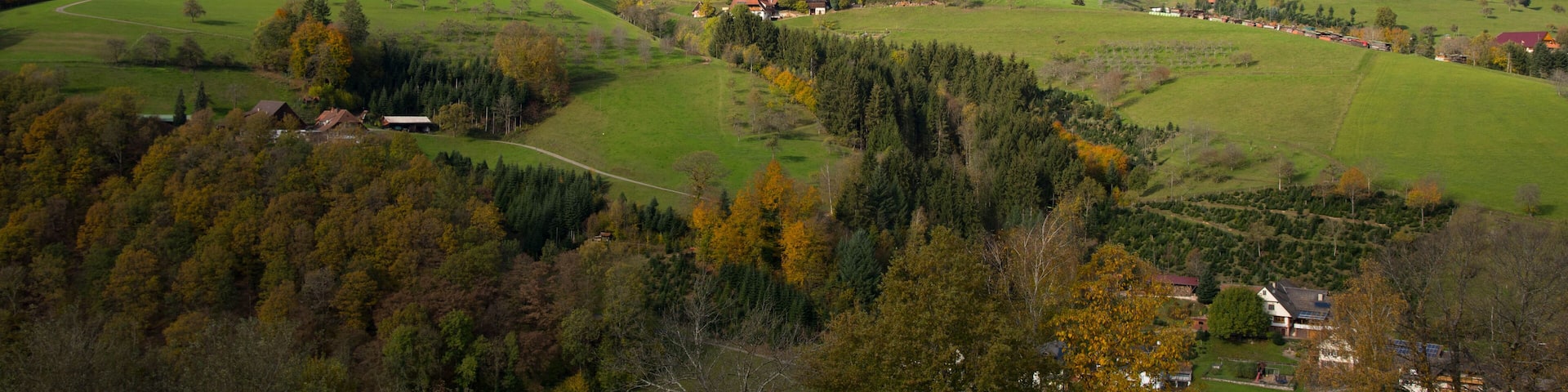 Herbstlicher Schwarzwald in den Höhen von Oberharmersbach