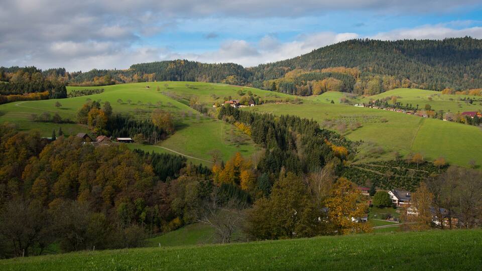 Rolling hills, a forested valley, and scattered houses.