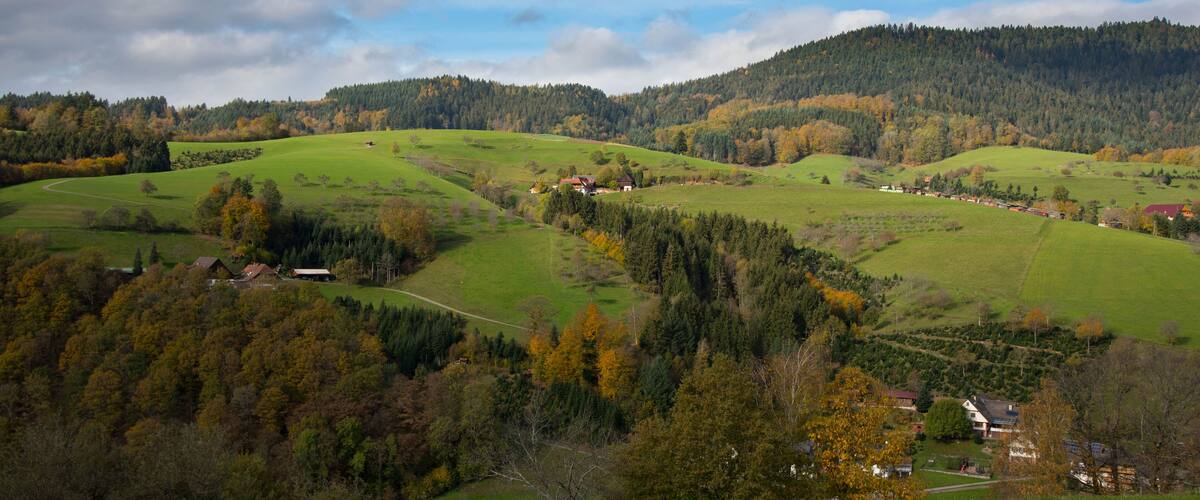 Rolling hills, a forested valley, and scattered houses.