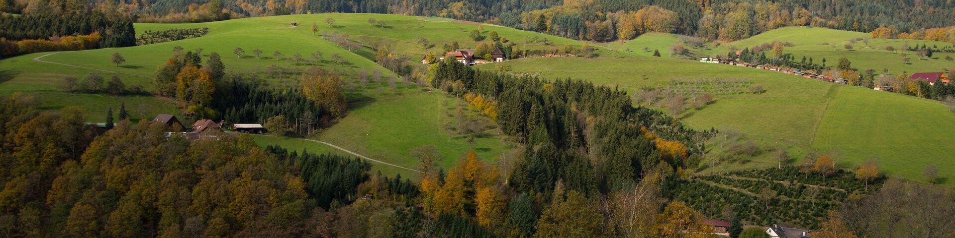 Rolling hills, a forested valley, and scattered houses.