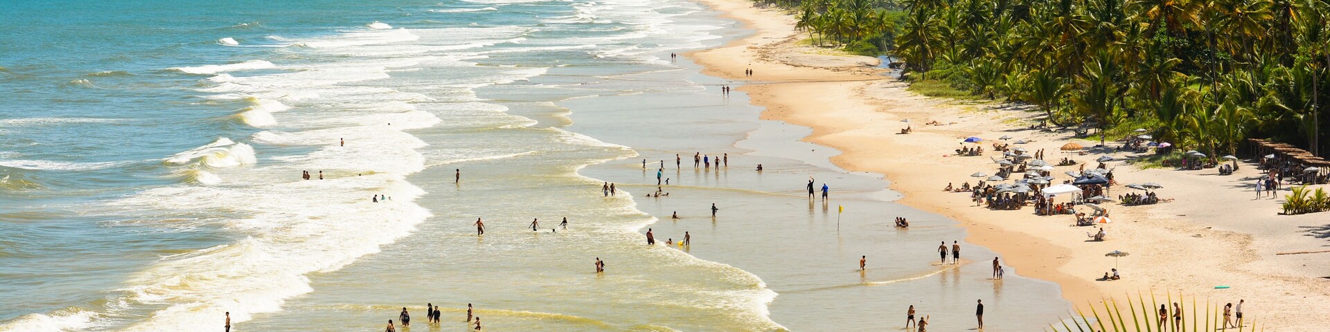 Una playa con olas, gente y palmeras.