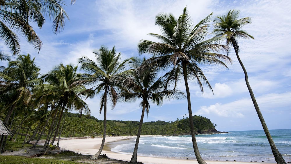 Coconut Prainha - Cocoa Coast. Image shot 01/2012. Exact date unknown.