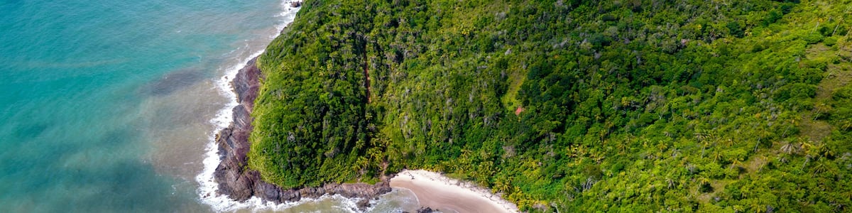 Eine Vogelperspektive auf eine Küstenlandschaft mit Sandstrand, felsiger Küstenlinie und dichtem Grün.
